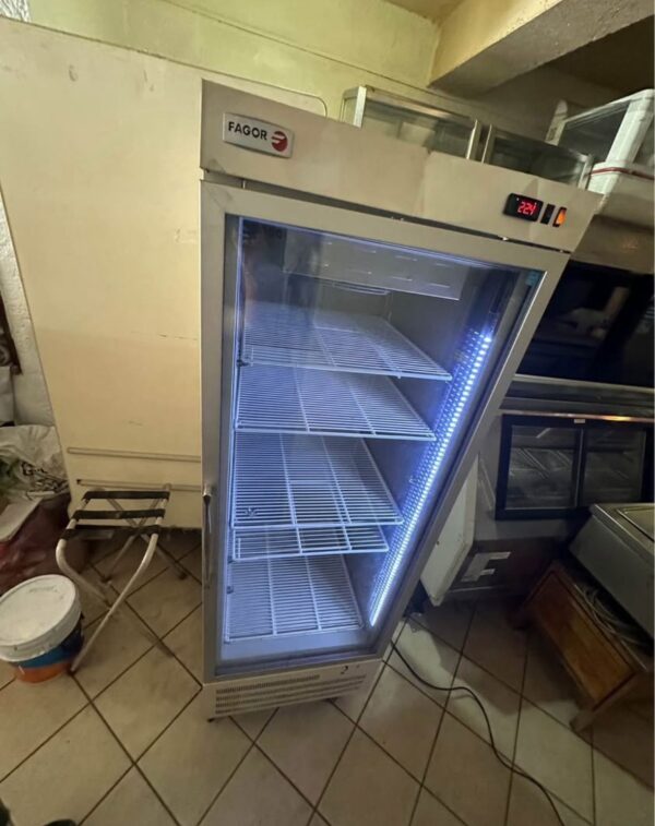 Imagen de WhatsApp 2025-05-28 a las 10.53.38_bc870b61 Congelador de 1 puerta, con iluminación interna Fargor